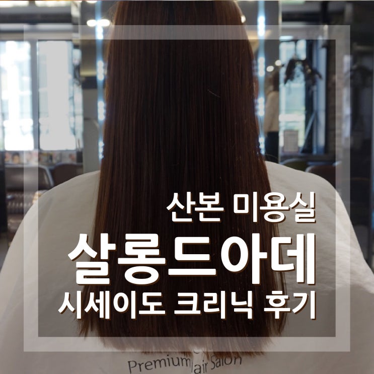  산본 미용실 살롱드아데 시세이도 크리닉 머리결 복구하고왔어요