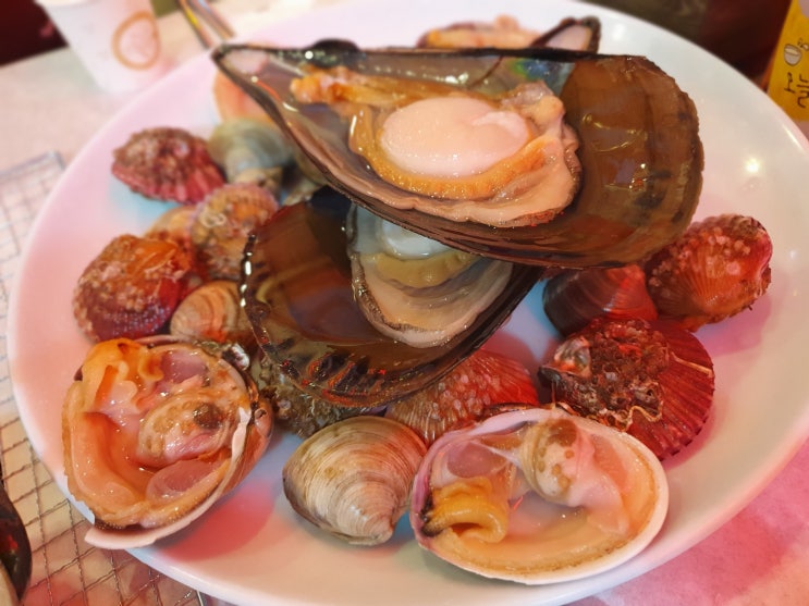  당진 왜목마을 조개구이 맛집! 왜목바다향기 바다에선 역시 조개구이!!(+칼국수)
