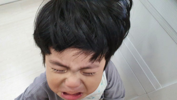  6살,18개월 형제 육아일기