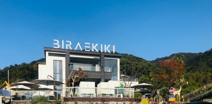 대전 비래동 카페 - 비래키키(BIRAEKIKI), 수영장 카페, 브런치 카페