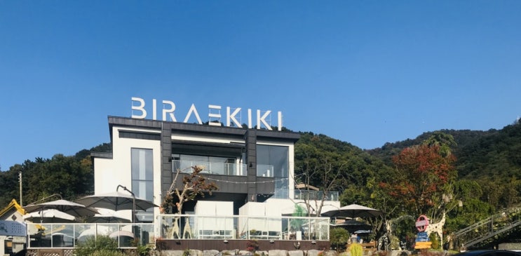  대전 비래동 카페 - 비래키키(BIRAEKIKI), 수영장 카페, 브런치 카페