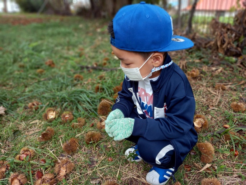 김포 곤충 농장에서 알밤줍기 체험해요 (솔직후기)