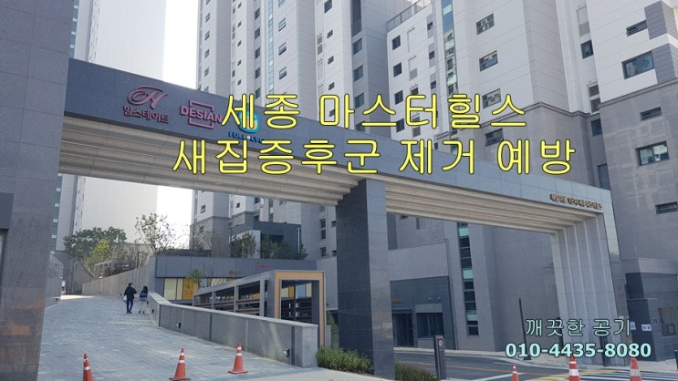  해밀 마을 세종 마스터 힐스 복층 아파트 입주 새집증후군 제거, 예방 가족의 건강을 위해 깨끗한 공기 만들기