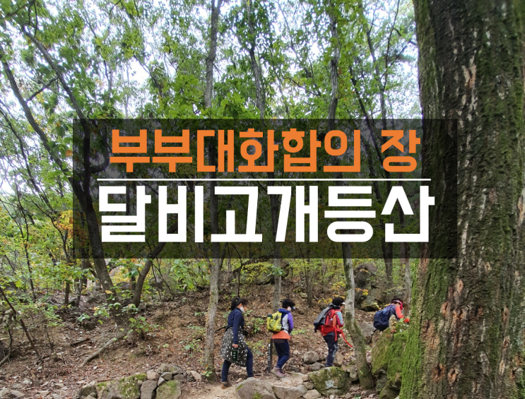  대구 앞산 달비골 등산으로 부부 대화합한 후기 (2시간 코스)