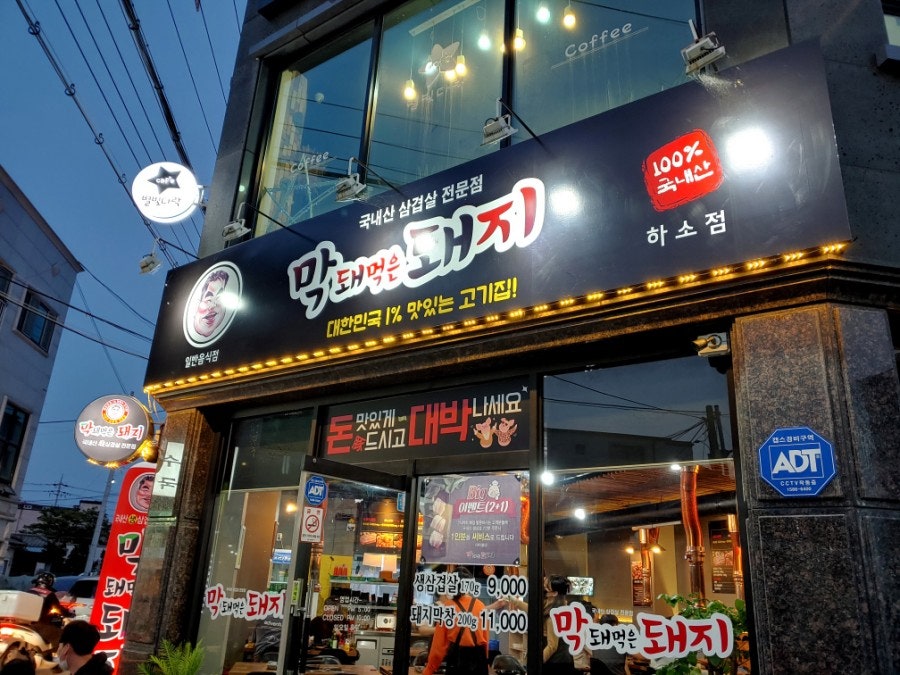 막돼먹은돼지 본점 사진 1