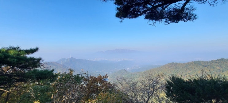 청계산 산악 구보