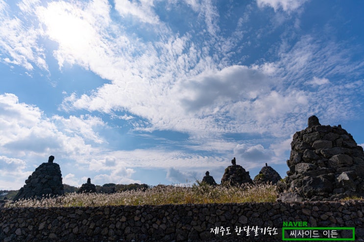  아쉬운 돌문화공원 [제주도 한달살기 숙소 씨사이드 이든]