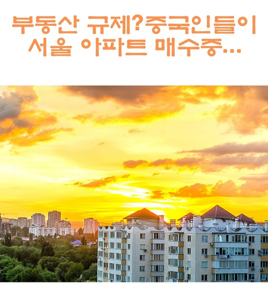 부동산 규제?외국인들이 서울 아파트 매수중...