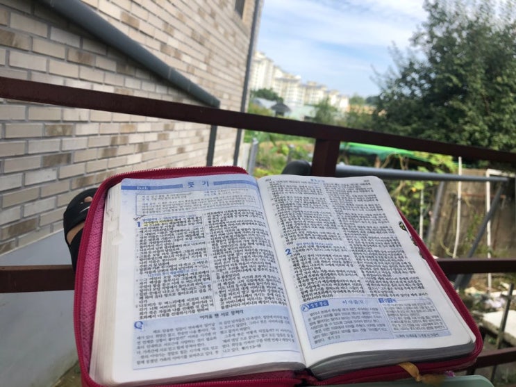  코로나 19 자가격리가 끝나고 얻은 것(인생 터닝포인트)