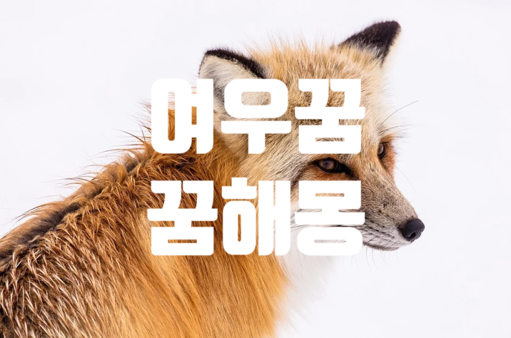  여우가 나오는 꿈 / 여우꿈 / 꿈해몽