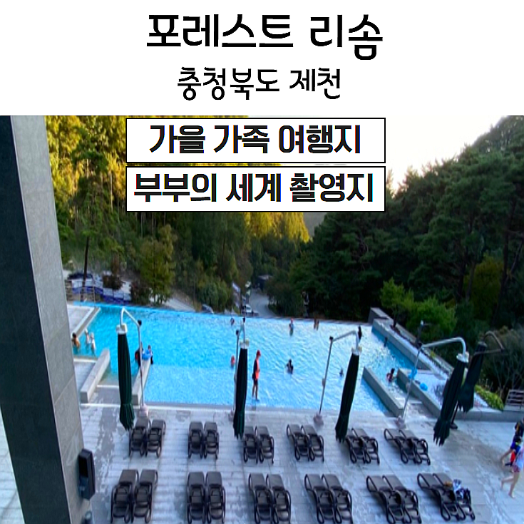  국내 가을 여행지 추천, 부부의세계 촬영지 [제천 포레스트 리솜]