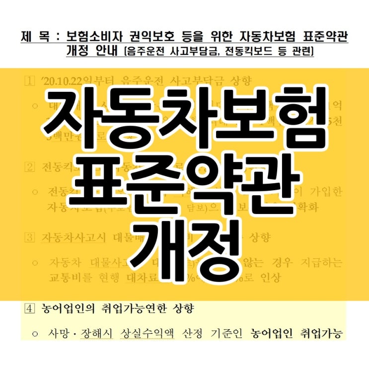  자동차보험 표준약관 개정 정리해봤어요