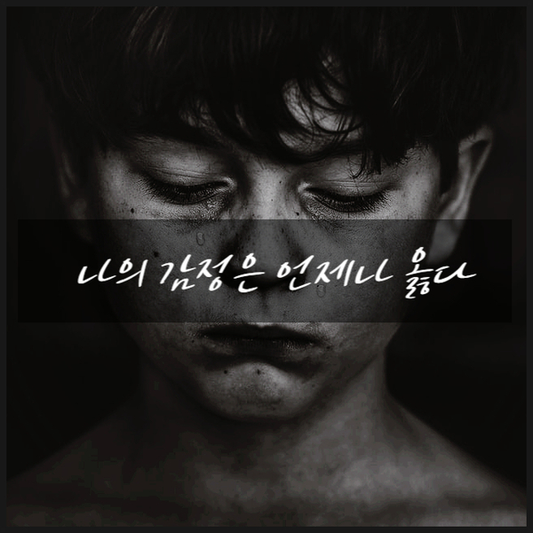  나의 감정은 언제나 옳다 (감정을 다스리는 마음 처방전) 김병수의사