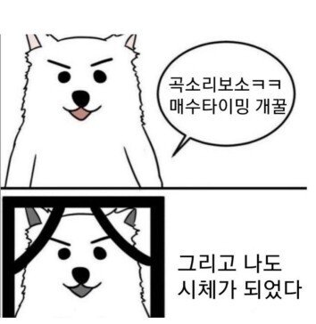  테슬라 어닝발표 보지말고 주무세요 ^^ (부제 : 장투하는 마음)