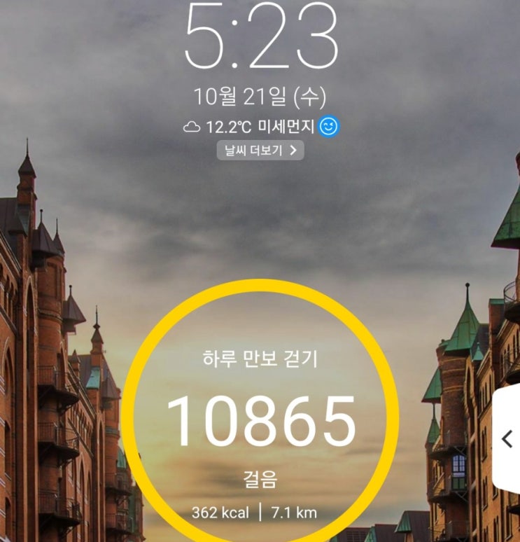  하루만보 걷기 작심7일차  다람쥐