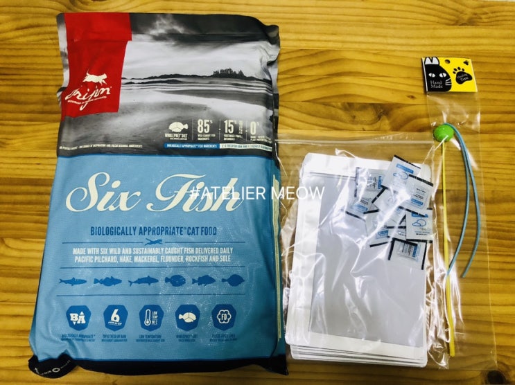  [내돈내산] 고양이 사료 / 오리젠 6피쉬 캣 급여 후기 / 고양이 사료 소분 하기 / Origen Six Fish / 고양이 사료 추천 / 고양이 식이알러지