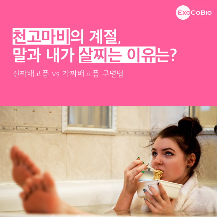 천고마비의 계절, 자기관리를 위한 진짜배고픔 vs 가짜배고픔 구별법