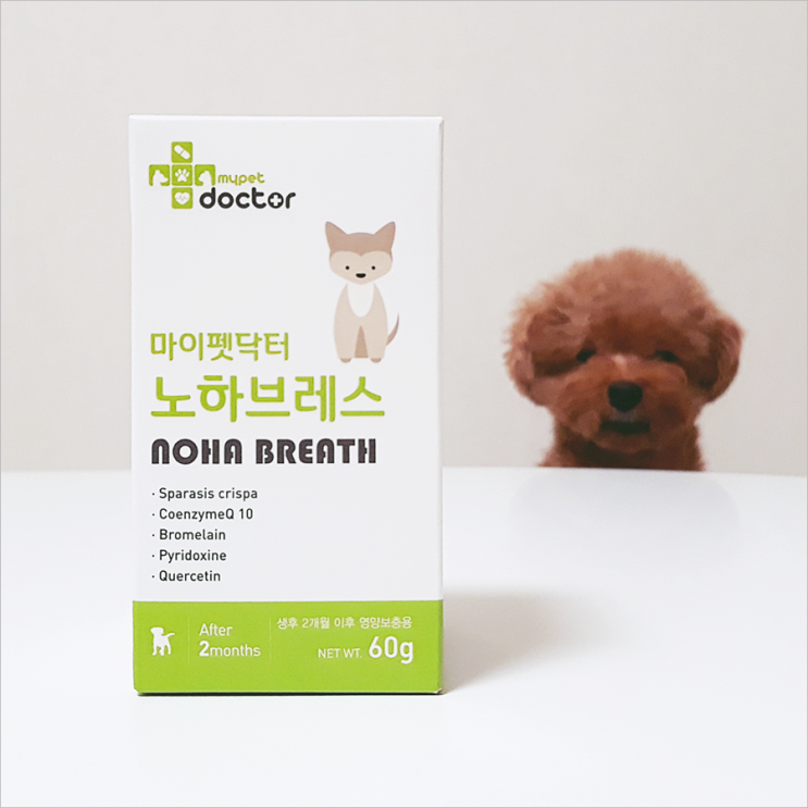  반려동물 호흡기 영양제 정착해야지!