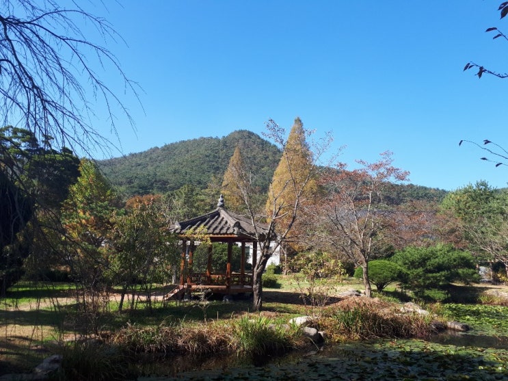  아름다운 경주 수목원 - 경북 산림환경연구원
