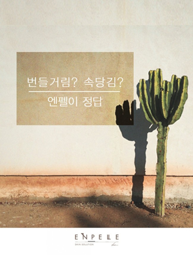  민감, 트러블 피부 전문 [ 엔펠 ] 추천해요^^