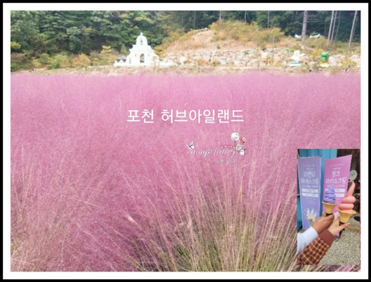  [ 포천 여행 ] 좋았던 곳 허브아일랜드 가볼만하네요