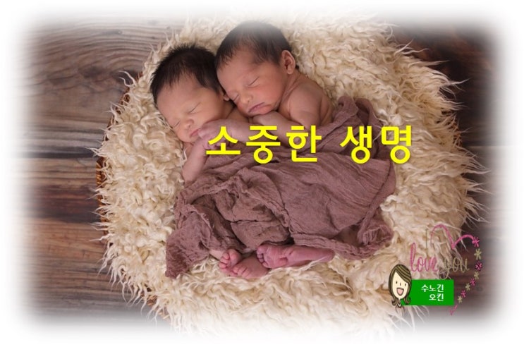  정부에서 낙태법 입법예고를 했네요