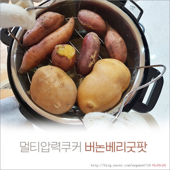 버논베리굿팟 하나면 간편간식 베리굿