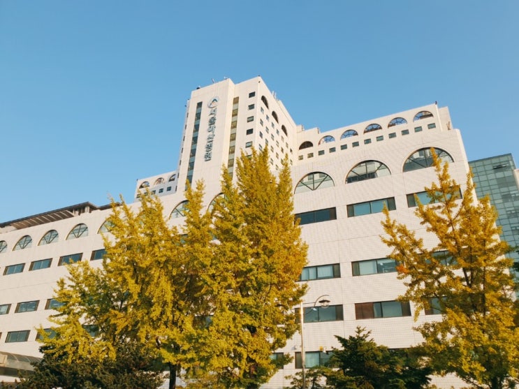  서울아산병원 :: 갑상선 조직 검사받고 왔습니다!