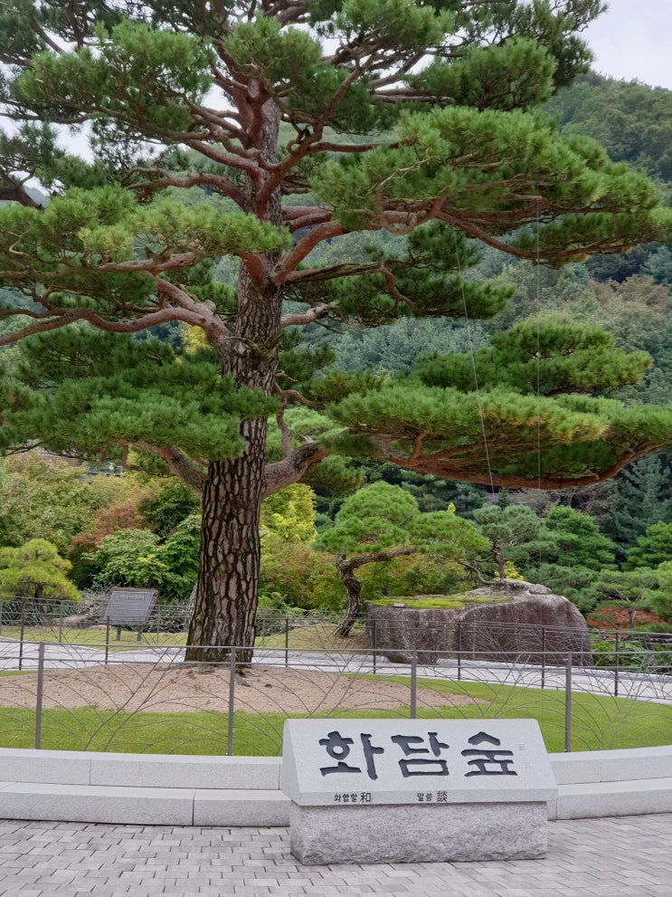 서울 근교  산책길  곤지암 화담숲
