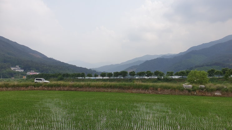  후비루 증상과 역류성 식도염 공황장애 치료