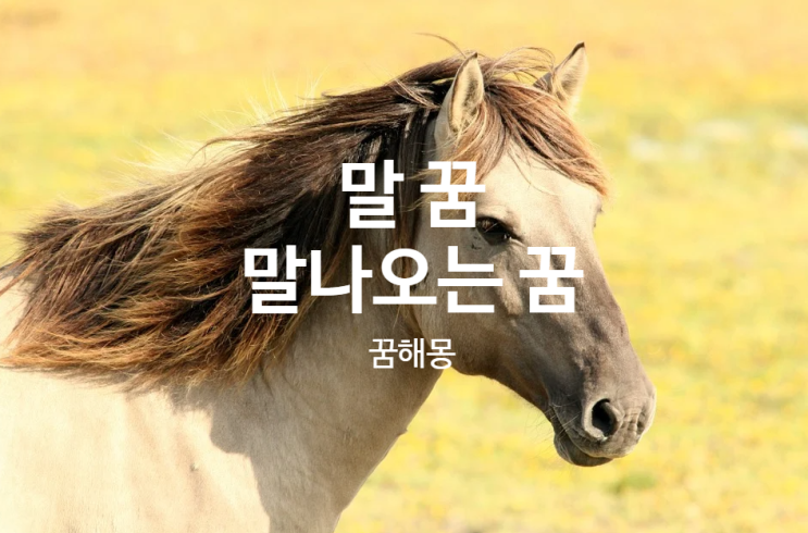 히잉~ 말꿈해몽 / 말꿈