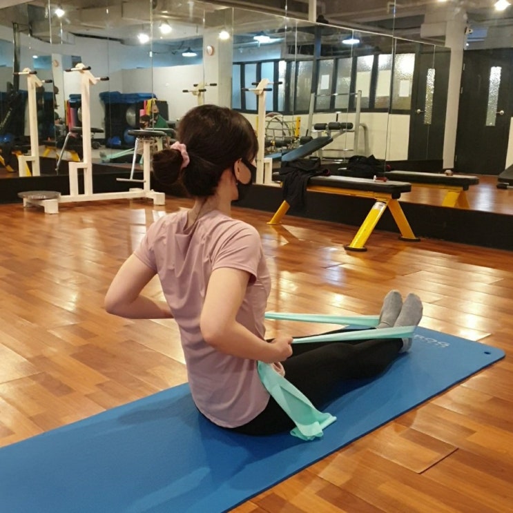  부위별 근력 운동 에코요기 라텍스 밴드 하나로 가능!