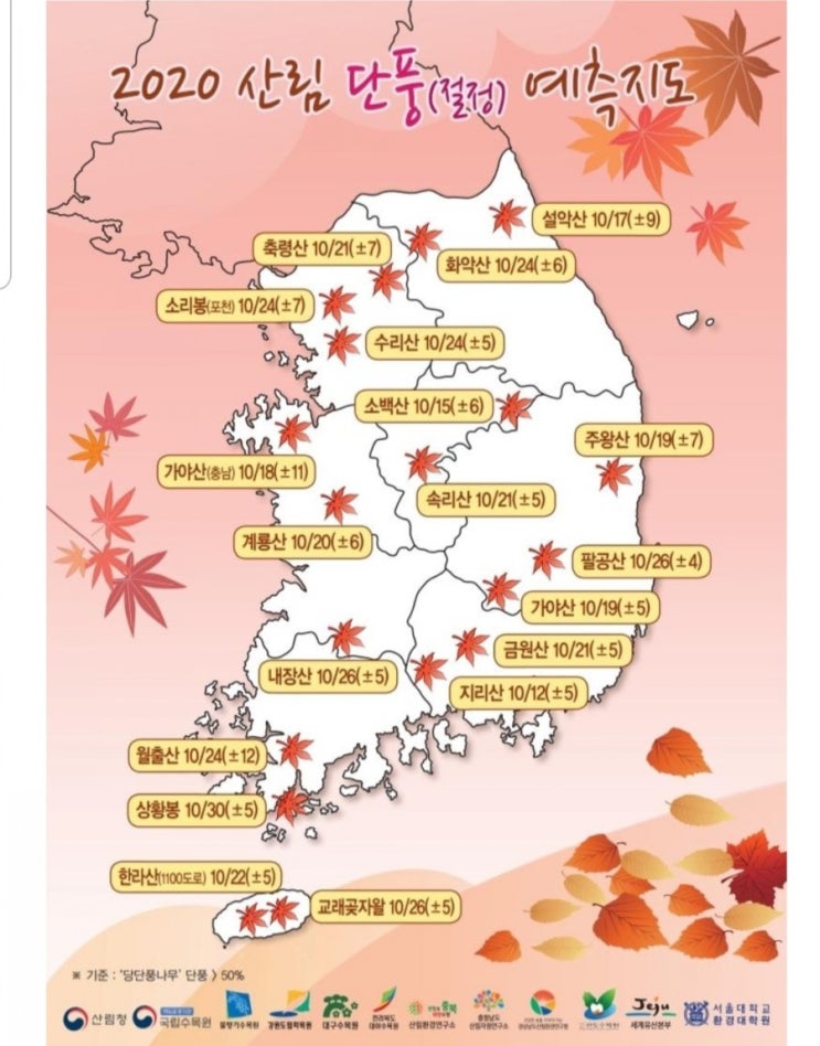 2020년 단풍시기 내장산 가실래요?
