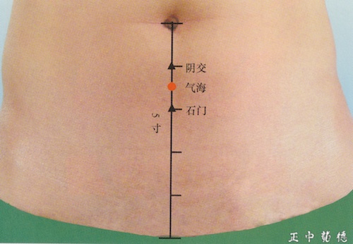  단체별 하단전의 위치와 위치 잡는 방법.