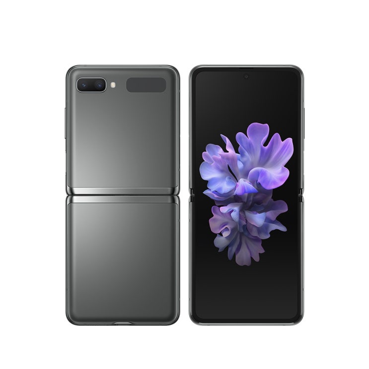  삼성전자 갤럭시 Z 플립 5G SM-F707, 공기계, 미스틱 그레이, 256GB