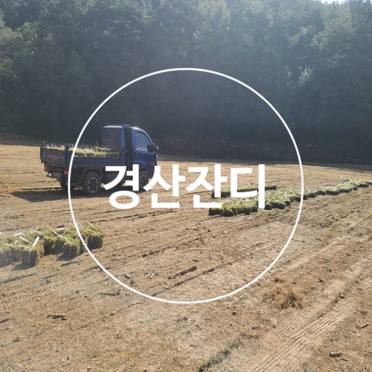  팔공산이 있는 경산 잔디 구매하러 오셨어요