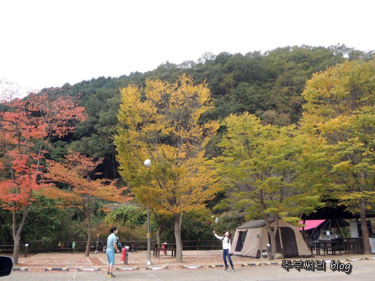  20.10.12~16원주 치악산 구룡자동차야영장 가을 만끽하기 좋다좋아:)