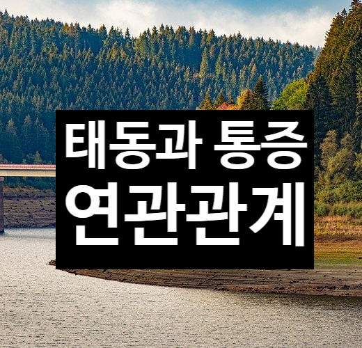  태동과 통증 연관관계
