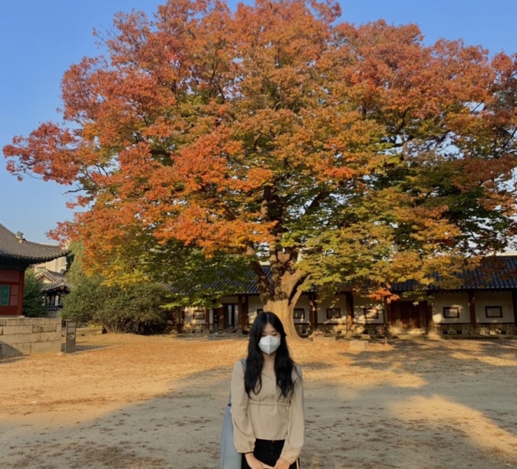  대학생 일상 39. 10월 중간고사 기록