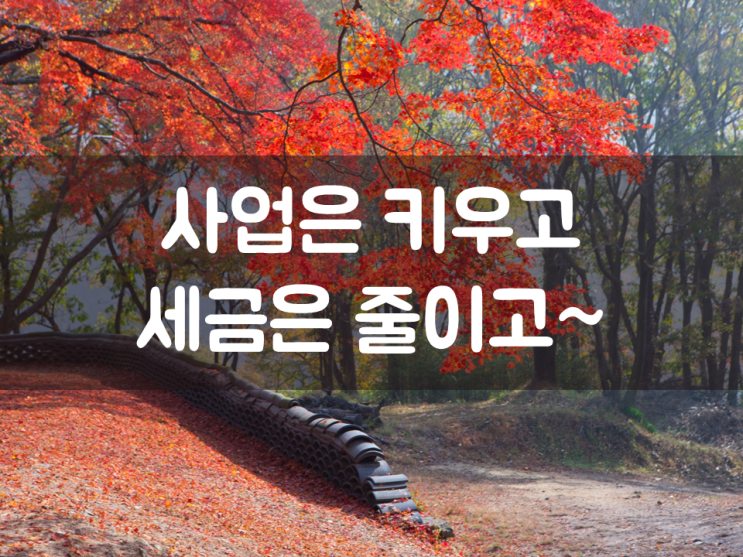  사업은 키우고, 세금은 줄이고~