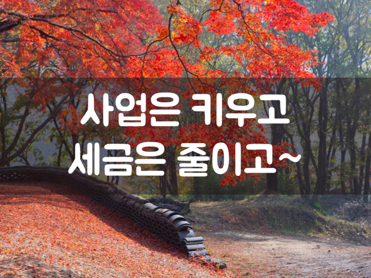 사업은 키우고, 세금은 줄이고~