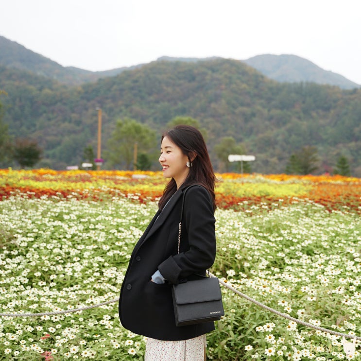  디페렌시아 수납력 좋은 체인 미니백