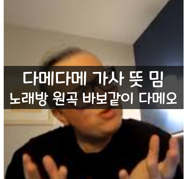  다메다메 가사 뜻 밈 노래방 원곡 바보같이 다메오