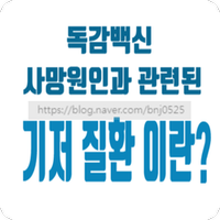  독감백신 사망 원인 기저질환 뜻은? 아낙필락시스 쇼크 등 이상증상 확인 예방수칙!
