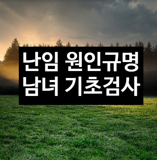  난임일 때 받는 기초 검사