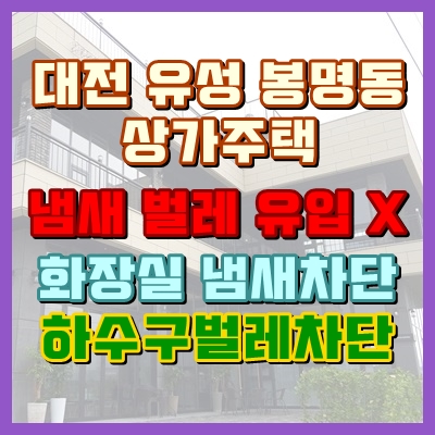 대전 상가냄새 벌레차단이 확실하게 되는 노하우
