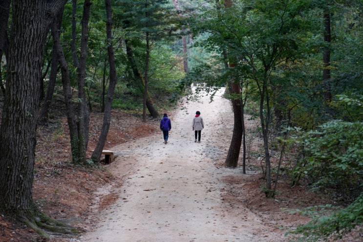  서삼릉 태실권역 개방