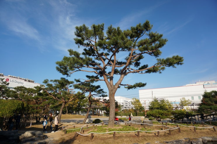  구미 동락공원에 다녀왔습니다.