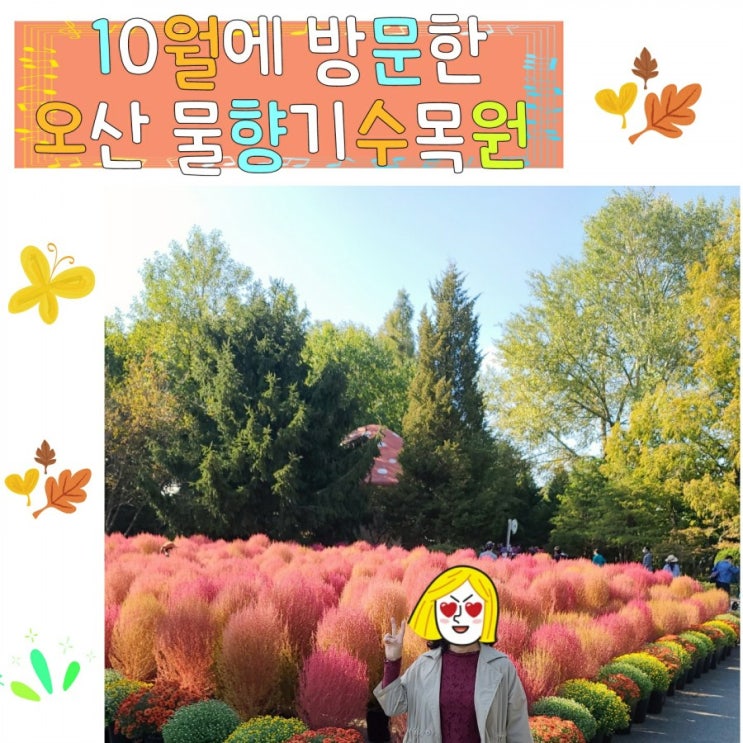  댑싸리와 함께하는 오산 물향기수목원 나들이 후기
