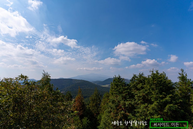  억새명소 거문오름 [제주도 한달살기 숙소 씨사이드 이든 추천]